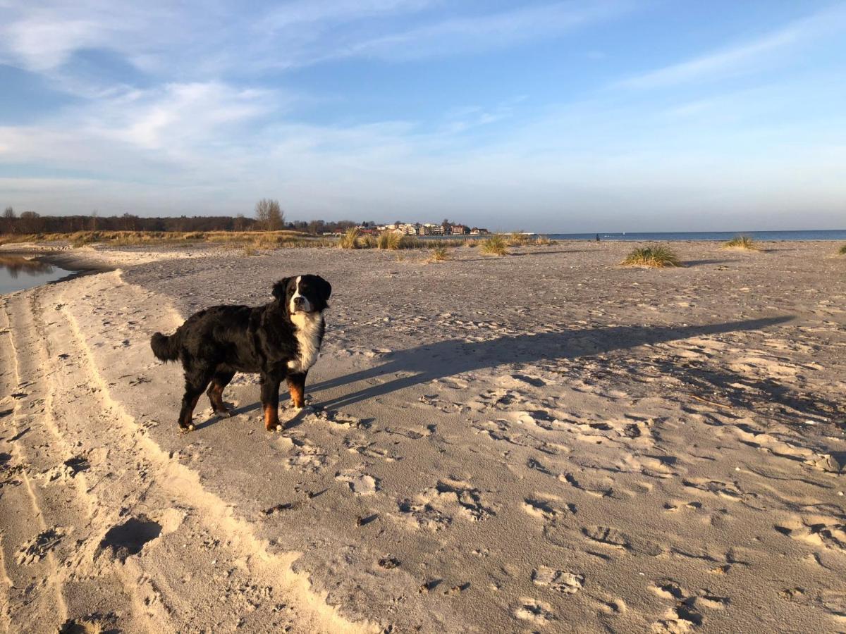Ferienwohnung „Die Koje“ Hohwacht/Ostsee Exterior foto